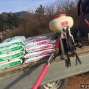 대건농장 이미지