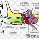 누가메디칼