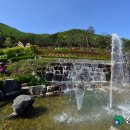 계양산산림욕장(장미원) 이미지