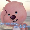 솔바람야영장 이미지