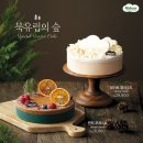 나뚜루 이미지