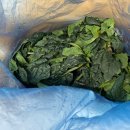 산촌농장(2) 이미지