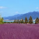 하단동1142 이미지