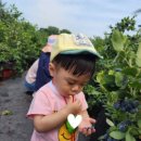 이엘농장 이미지