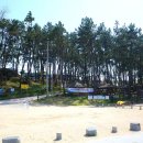 돌머리해수욕장 종합안내소 이미지