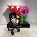 아기와 여행 :: 세인트존스호텔 골져스 패밀리트윈 파셜오션뷰 객실 , 조식 후기 , 사우나 + 예약꿀TIP
