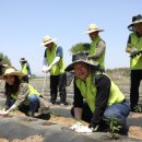 당동2리 이미지