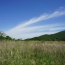 비내섬 화장실 이미지