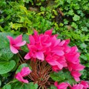 갈월버섯농장 이미지