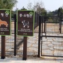 문암생태공원(반려견놀이터) 이미지