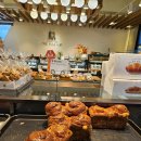 베이커리본 이미지