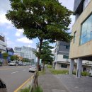 하귀당구장 이미지