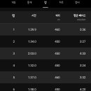 [1월 1일] (900m + 450m) x 15 이미지