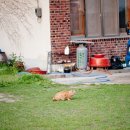 신성수산 이미지