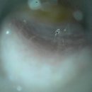 금천종합동물병원 이미지