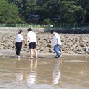 새마을호 여행 ㅡ대천 해수욕장 ㅡ 충청남도 보령시 ㅡ신흑동에 있는 해수욕장.ㅡ 대전에서 102㎞ 지점, ㅡ 보령시내에서 10㎞ 지 이미지