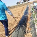 오원농장 이미지