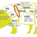 명륜진사갈비진해