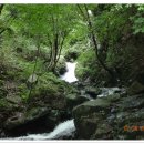 성수산자연휴양림 이미지