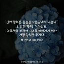 독수리와 닭이 주는 인생교훈 이미지