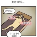 두리피아노학원 | 사당 필라테스 위니드 필라테스 스튜디오