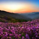 바래봉길 이미지