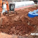 고석중농장 뉴시스