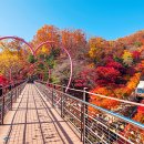 소망분재원