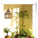 그린홈인테리어 이미지