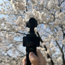 천안 카페! 충남 감성카페 숨 어반 후기 (오즈모포켓3)