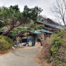 도토리남매