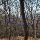 반송동251 이미지