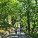 화원동산 전망대 네이버블로그