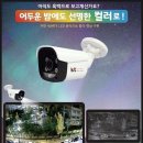 강진할인마트 이미지