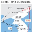 상구콘테이너 이미지