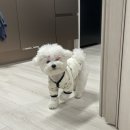 스위치오프 이미지