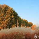 은빛농장 이미지