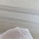 펫가든 이미지