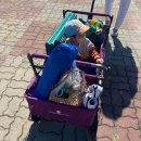 <경남 고성 공룡세계엑스포>아이와 함께 공룡엑스포, 공룡 퍼레이드, 공룡 박물관, 마술쇼, 피크닉.