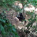 생명과 공존의 숲( 이미지