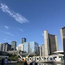 2N2 | [토론토] 시청 토론토 사인 앞에서 핫도그 트럭 다운타운 시내 관광 코스 추천