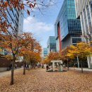 대건메디칼 이미지