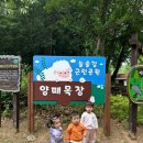하이얀목장 네이버블로그