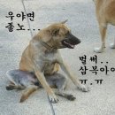 월복 이미지