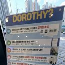 도로시 옵티컬 이미지