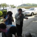 주포주유소 이미지