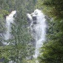 << 6/20/09 산행안내 >>Owl Hike /Spot Mt. Washington 이미지