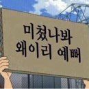 포토그레이 이미지