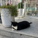 건대 디저트 카페 오캄, 분위기 좋은 건대입구역 데이트 카페 추천