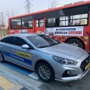 삼가관광농원 | 늦었지만 단풍구경! 평창 &#39;허브나라농원&#39; 후기 🙂